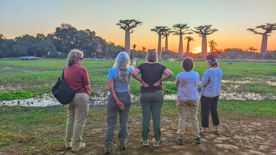 sunset at baobab avenue in morondava