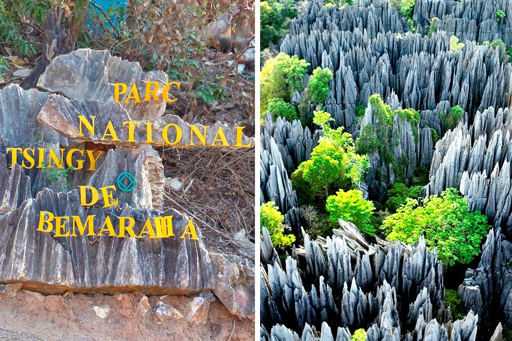 tour to madagascar