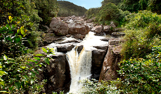 ranomafana national park
