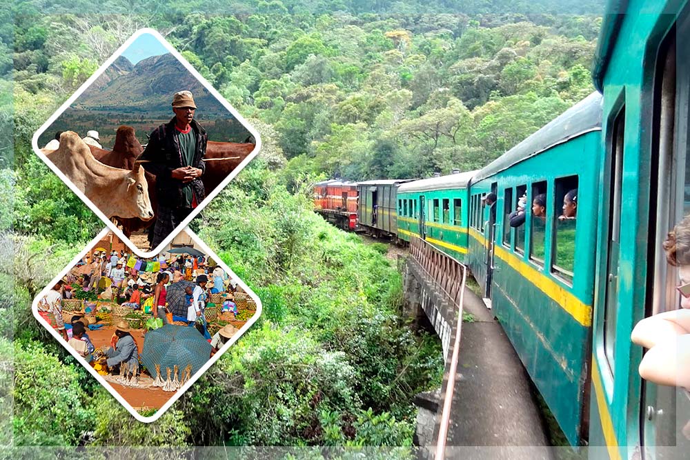train from manakara to fianarantsoa